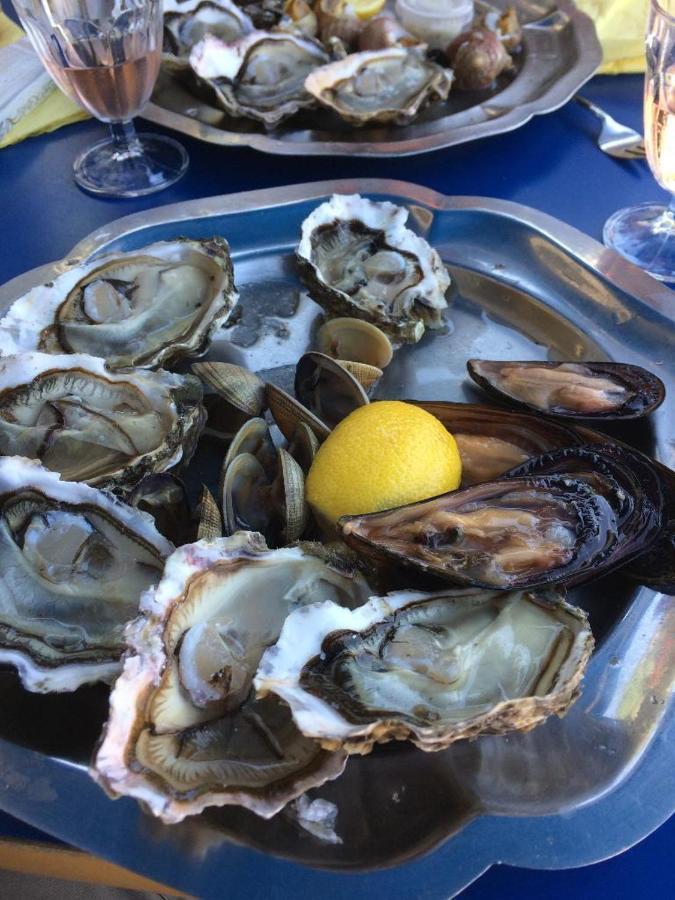 Les Arenes - Port Leucate - Une Chambre - Terrasse - Proche Commerces - Tout Confort Kültér fotó